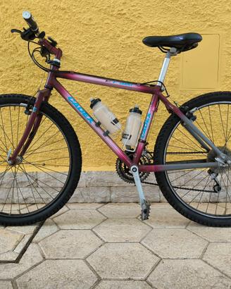 mountain bike GIANT non ammortizzata