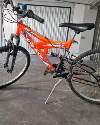bicicletta ruota 24
