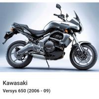 Kawasaki
Versys 650 (2006 - 09)
