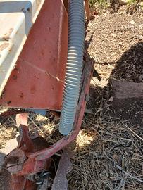 seminatrice Carraro 4 file girasoli