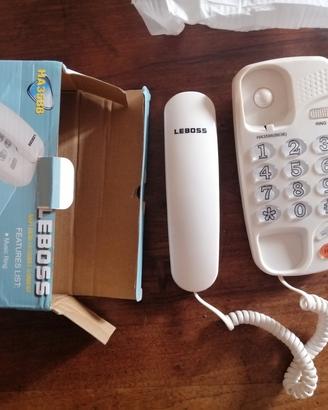 telefono fisso