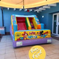 gonfiabile Disney per feste private * promo estate