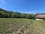 Immagine 7