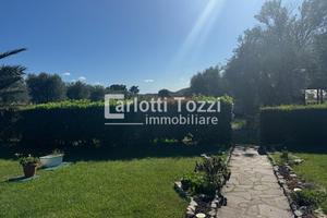 Rif.03674| villa grosseto