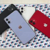 IPhone 11 64Gb pari al nuovo