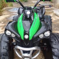 Quad elettrico
