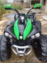 Quad elettrico