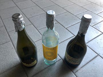 Bottiglie da vino