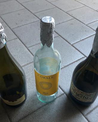 Bottiglie da vino