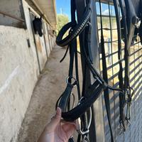 Testiera equestro