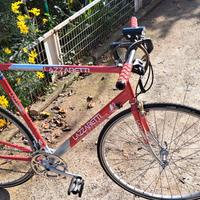 Bicicletta City Bike Lazaretti