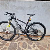 MTB in carbonio 29'