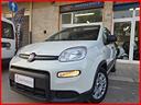 fiat-panda-1-0-70cv-hybrid-euro-6d-van-4-p-street
