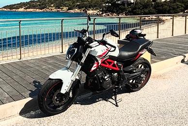 Benelli 302S 2019