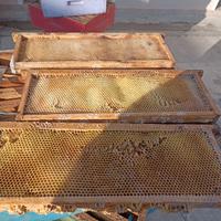 melari costruiti per arnie da 10