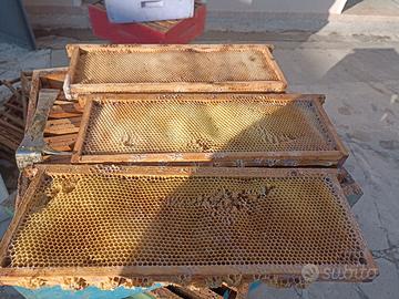 melari costruiti per arnie da 10