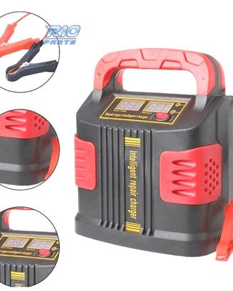 CARICABATTERIA INTELLIGENTE 350W 14A