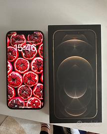 iPhone 12 Pro Max 256 GB (oro)