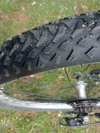 Bicicletta 10/14 anni