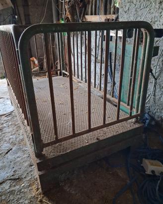 Pesa per animali