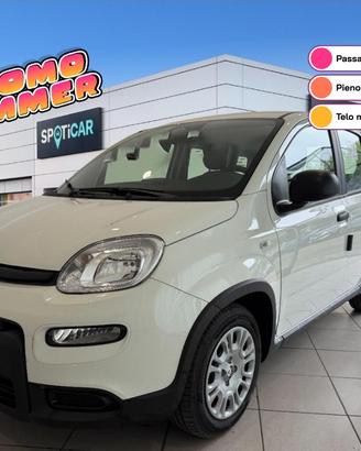 FIAT Panda Serie 7 1.0 70cv HybridPanda