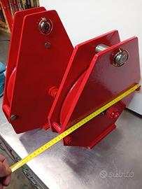 Carruccole forestali.