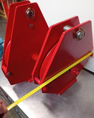 Carruccole forestali.