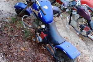 Mini moto modello Harley