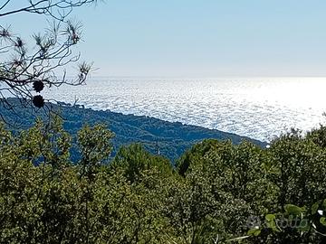 Campagna