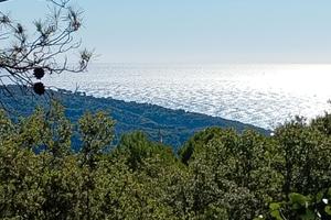 Campagna