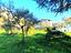 Immagine 11