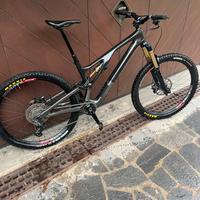 S-Works Stumpjumper Evo Mtb Enduro