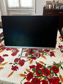 Schermo 22 pollici hdmi
