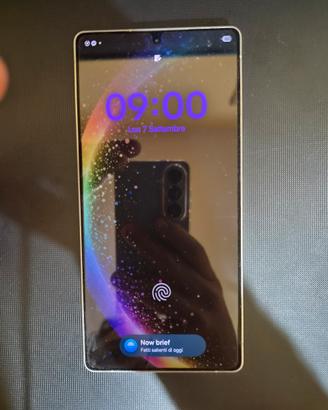 samsung s25 ultra 256gb immacolato