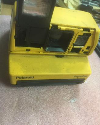3087NN-Polaroid Impulse