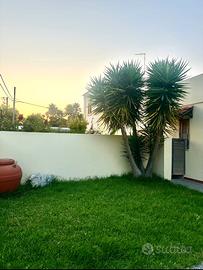 Villetta indipendente a Torre dell'Orso