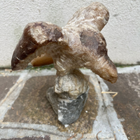 Aquila in marmo alabastrino