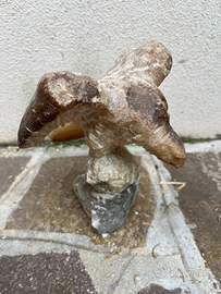 Aquila in marmo alabastrino