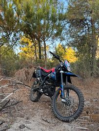 RX 125 2024