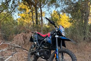 RX 125 2024