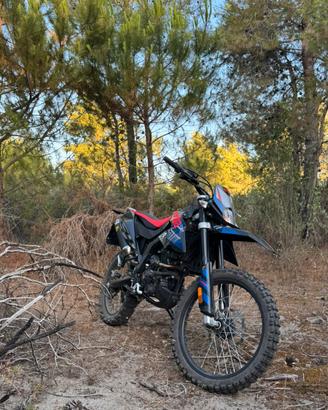 RX 125 2024