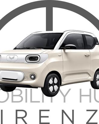 Desner W300 microcar elettrica 16 anni 2/4 posti