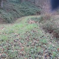 Terreno seminativo di hettari 20250