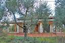 torrita-di-siena-si-villa-in-zona-collinare
