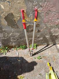 ✂️ Cesoie per potatura professionale ✂️