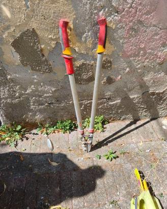 ✂️ Cesoie per potatura professionale ✂️