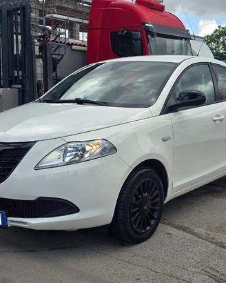 LANCIA Ypsilon 1.2 69 CV 5 porte Elefantino