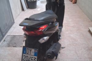 people125 come nuovo