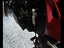 Immagine 6