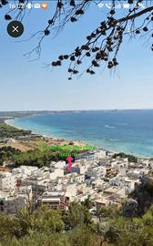 A 50m dalla spiaggia dal 23 agosto in poi